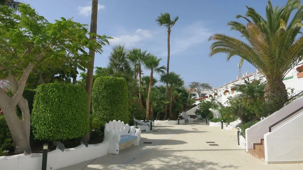Tenerife With Impressive Pool 25 Apartamento Costa del Silencio